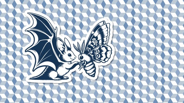 Flagermus og Natsværmer