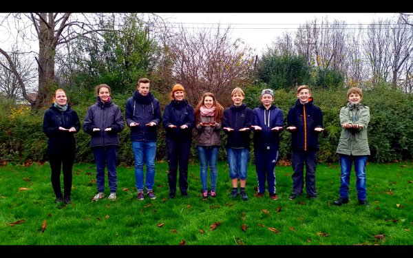 Husk ting fra naturen